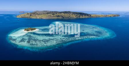 Gesunde Korallenriffe umgeben die meisten der malerischen Inseln im Komodo-Nationalpark, Indonesien. Diese Region beherbergt eine spektakuläre Artenvielfalt der Meere. Stockfoto