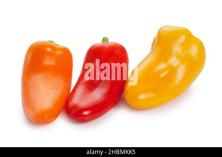 Studioaufnahme von farbenfrohen Chilischoten, die vor einem weißen Hintergrund ausgeschnitten wurden - John Gollop Stockfoto