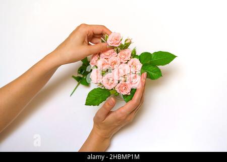 Nahaufnahme der Hand der Floristin, die einen Strauß rosa Rosen auf einem hellen Tisch macht. Schöne niedliche Blumenstrauß für Frauen Urlaub. Das Konzept der Arbeit des Floristen im Laden. Stockfoto