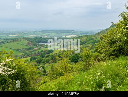 Blick auf die Landschaft um Gormire Lake von Sutton Bank, North York Moors Stockfoto