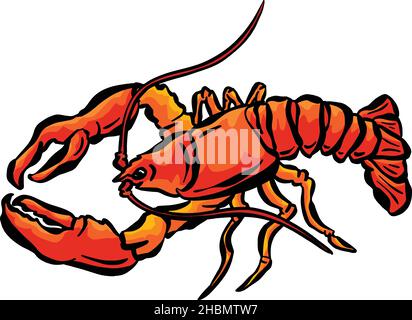 Cartoon Illustration Logo oder Maskottchen aus dem Tiefseefrabben-Hummerschwamm Stock Vektor