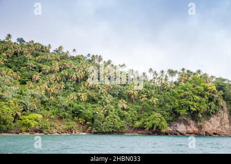 Blick auf die Bucht von Samana. Kokospalmen wachsen an der Küste. Dominikanische republik Natur Stockfoto