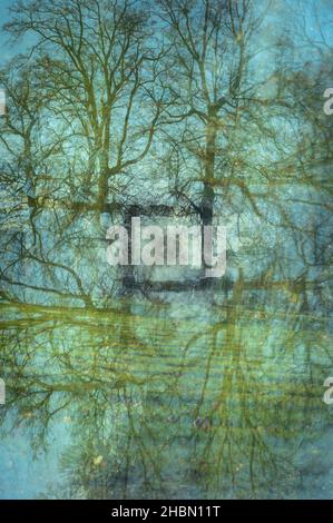 Abstraktion in der Natur mit einem Baum, der in der Mitte des Bildes ein Quadrat bildet, und dem Himmel im Hintergrund, fotografiert durch Drehen der Kamera Stockfoto