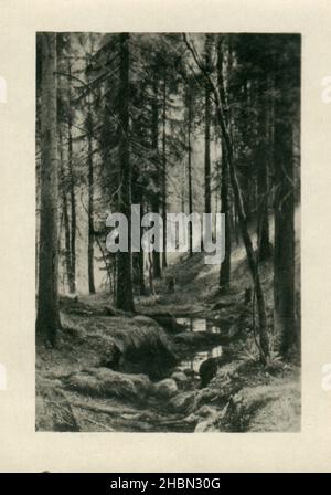 Kiewer Museum für Russische Kunst. Iwan Schischkin. Alte 12 Vintage Fotopostkarte der UdSSR, 1954. Stockfoto