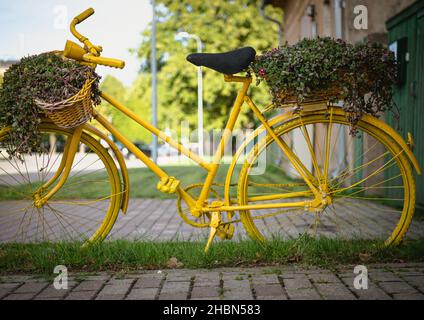Gelbes Fahrrad im grünen Gras und gelb ist die Kette, Kettenrad, Pedale, Rahmen, Reifen, Speichen, Fuß Stockfoto
