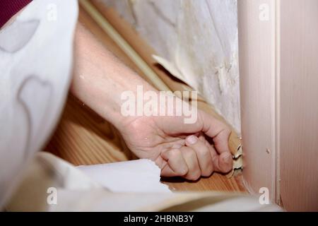 Entfernen der Sockelleiste vor dem Entfernen alter Tapeten und dem Anstreichen der Wand. Vorbereitung der Renovierung der Wohnung. Nahaufnahme. Wirklich einen Moment. Stockfoto