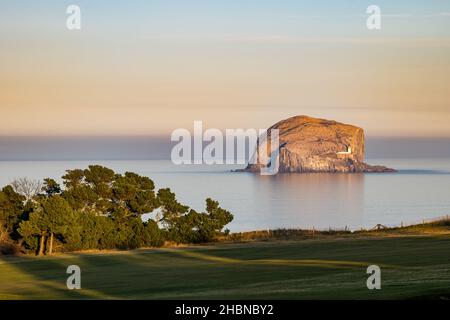 Bass Rock mit Dunst und Nebelbank, Firth of Forth, Schottland, Großbritannien Stockfoto