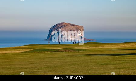 Männer spielen Golf auf dem Golfplatz Glen, North Berwick vor Bass Rock, Firth of Forth, Schottland, Großbritannien Stockfoto