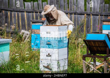 Imker im Schutzanzug inspiziert seine Reihe von Bienenstöcken auf der Imkerei mit Bienen schwärmen um ihn herum. Stockfoto