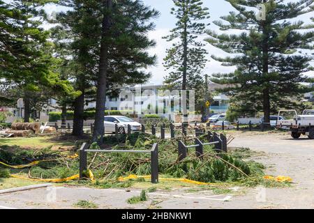 Dezember 2021 wilder Sommersturm und Mini-Zyklon in Narrabeen, Sydney, Australien Stockfoto