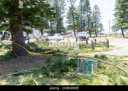 Dezember 2021 wilder Sommersturm und Mini-Zyklon in Narrabeen, Sydney, Australien Stockfoto