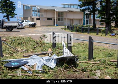 Ein Freak-Sturm führte dazu, dass die Dame in der Nähe des Surfclubs Narrabeen ihr Leben verlor, als Bäume fielen, einen Tag nachdem die Säuberung am Standort in Sydney, Australien, begann Stockfoto