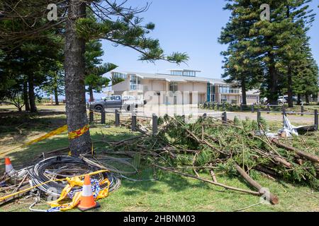 Ein Freak-Sturm führte dazu, dass die Dame in der Nähe des Surfclubs Narrabeen ihr Leben verlor, als Bäume fielen, einen Tag nachdem die Säuberung am Standort in Sydney, Australien, begann Stockfoto