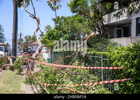 Narrabeen Sydney, Freak Sturm im Dezember 2021 wich großen Bereichen der nördlichen Strände von Sydney ab, Aufräumen beginnt Tag für Tag in Narrabeen, Sydney, NSW Stockfoto