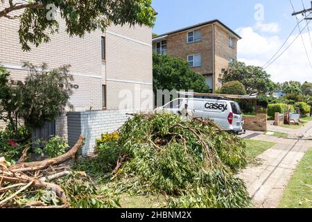 Narrabeen Sydney, Freak Sturm im Dezember 2021 wich großen Bereichen der nördlichen Strände von Sydney ab, Aufräumen beginnt Tag für Tag in Narrabeen, Sydney, NSW Stockfoto