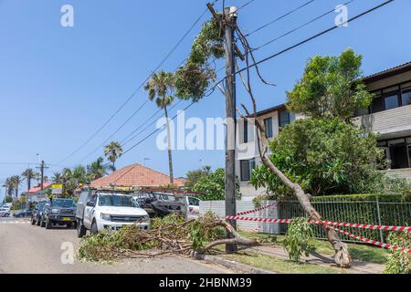 Narrabeen Sydney, Freak Sturm im Dezember 2021 wich großen Bereichen der nördlichen Strände von Sydney ab, Aufräumen beginnt Tag für Tag in Narrabeen, Sydney, NSW Stockfoto