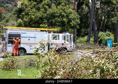 Freak Sturm in Narrabeen Sydney, einen Tag nachdem die Freiwilligen des State Emergency Services damit beginnen, umgestürzte Bäume zu räumen und der Gemeinde in Sydney, Australien, zu helfen Stockfoto