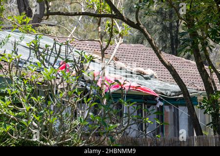 Dezember 2021 wilder Sommersturm und Mini-Zyklon in Narrabeen, Sydney, Australien Stockfoto