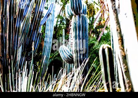 Abbildung. Erstaunlicher tropischer botanischer Garten mit verschiedenen Arten von Pflanzen, Palmen und Kakteen Le Jardin Majorelle. Stockfoto