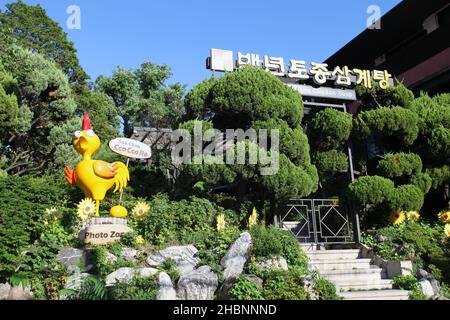 Kleine Geschäfte und Gebäude in Jongno-gu, Seoul, Südkorea. Stockfoto