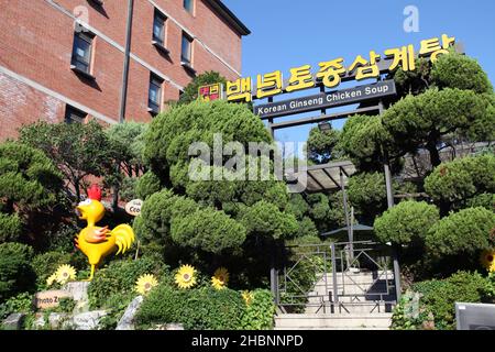 Kleine Geschäfte und Gebäude in Jongno-gu, Seoul, Südkorea. Stockfoto