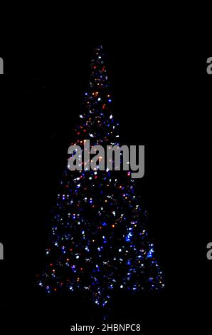 Weihnachtsbaum Stockfoto