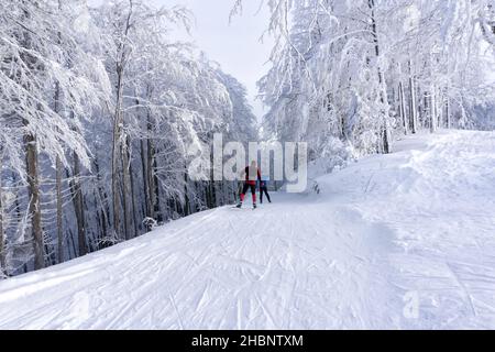 Zwei Langläufer laufen auf einer präparierten Skipiste. Straße in den Bergen am Wintertag. Bäume mit Reif bedeckt. Kremnica-Gebirge, Slowakei. Stockfoto