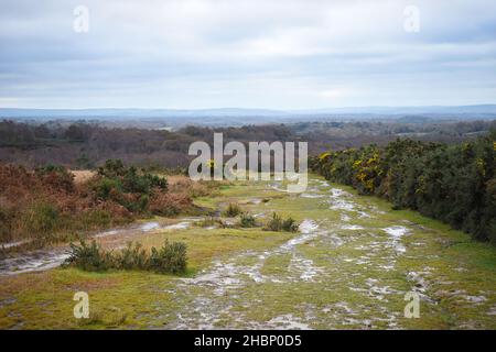 Ashdown Forest Ansicht in East Sussex, Großbritannien. Gelegen in der High Weald Gegend von Outstanding Natural Beauty, führt ein nasser, schlammiger Graspfad weg. Stockfoto