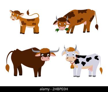 Eine Reihe von niedlichen Cartoon Kühe und ein Kalb. vektor isoliert auf einem weißen Hintergrund Stock Vektor