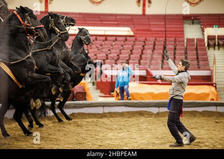 München, Deutschland. 20th Dez 2021. Hans-Ludwig Suppmeier, Tiertrainer, arbeitet im Ring des Cirkus Krone mit den Zirkuspferden. Wegen der Corona-Pandemie musste der Circus Krone das zweite Jahr in Folge sein Weihnachtsprogramm auf Eis legen. (To dpa 'an vielen Stellen keine fröhlichen Weihnachten im Zirkus - 'Wir sind so traurig') Quelle: Matthias Balk/dpa/Alamy Live News Stockfoto