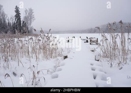 Verschneite Fußgängerbrücke zum See nach starkem Schneefall Stockfoto