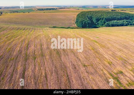 Die Textur der geernteten Felder auf den Hügeln. Luftaufnahme Stockfoto