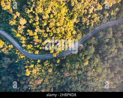 Abenteuer Kurve Autobahn Straße auf Berg umgeben von grünen Wald Luftdrohne im Norden von Thailand aufgenommen Stockfoto