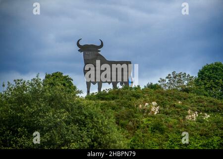 Osborne-Bulle, Toro de Osborne, in der Nähe von Covadonga, Picos de Europa, Spanien, Europa. Bulle Spanischer schwarzer Stier Toro de Osborne, traditionell auf einem Hügel. Stockfoto