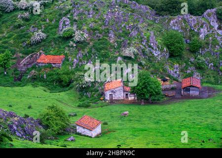 Alten Bauernhof und Häuser Covadonga Seen, Picos de Europa, Parque Nacional de Los Picos de Europa, Asturien, Kantabrien, Spanien, Europa. Eine der Stationen des Stockfoto