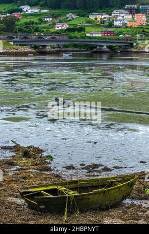 Altes Boot in Viveiro Stary und Wohnhäuser. Lugo, Galicien, Spanien. Stockfoto