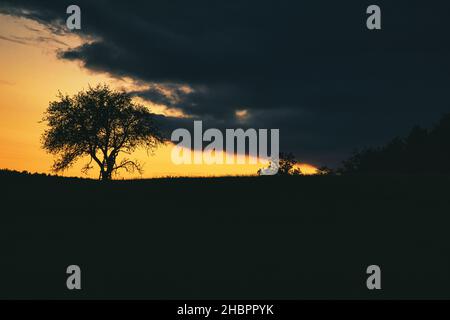 Sonnenuntergang im Saarland mit einem Baum, an dem sich eine Leiter lehnt. Dramatischer Himmel. Ruhige und einsame Lichtstimmung Stockfoto