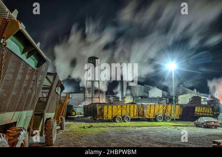 USA, South, Louisiana, Lafayette, Sugar Mill *** Lokale Bildunterschrift *** USA, South, Louisiana, Lafayette, Sugar Mill, Zuckerrohr, Nacht, Industrie, Dampf, Indu Stockfoto