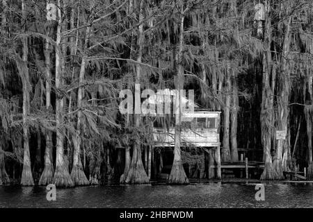 USA, Texas, Caddo Lake , Sumpfhütte *** Ortsüberschrift *** USA, Texas, Caddo Lake, Cypress Sumpf, Natur, östlich, amerikanisch, Wald, Hütte, Haus, Lokal, Stockfoto