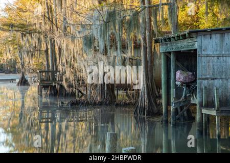 USA, Texas, Caddo Lake, Bootsschuppen *** Ortsüberschrift *** USA, Texas, Caddo Lake, Cypress, Outdoor, Shed, Bootfahren, Struktur, amerikanisch Stockfoto