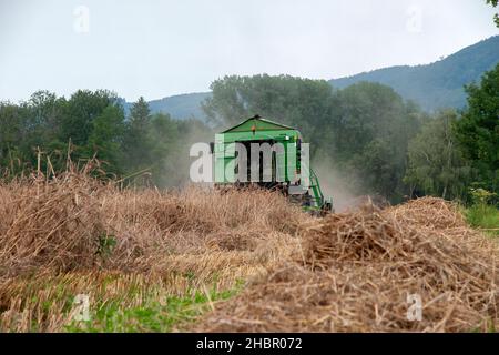 Der Laufener Landschaften auf dem Feld bei Triebenbach - Stadt Laufen - wird ernst - für die Brauerei Wieninger Stockfoto