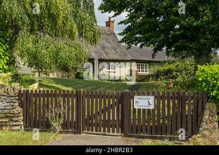 Orchard Cottage, ein freistehendes Steinhaus mit Reetdach, eingerahmt von Bäumen, im Dorf Alderton, Northamptonshire, Großbritannien Stockfoto