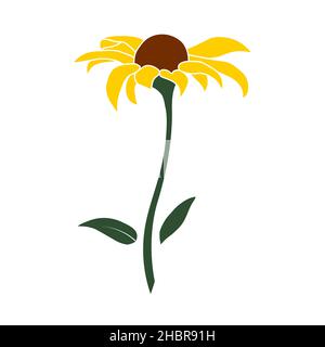 Auf weißem Hintergrund isolierte Vektorgrafik für die offene Heliopsis-Blüte. Vektor Skizze Stil Draufsicht Handzeichnung von wild, Heliopsis, falsche Sonnenblume Stock Vektor