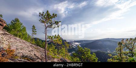 Panorama des Himmels und der Berge, ein einsamer kleiner Baum vor dem Hintergrund eines grauen düsteren Himmels am Berghang schönes Panorama Tierwelt sib Stockfoto