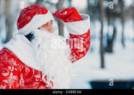 Santa Claus oder Ded Moroz mit langem weißen Bart freuen sich im Winterwald. Stockfoto
