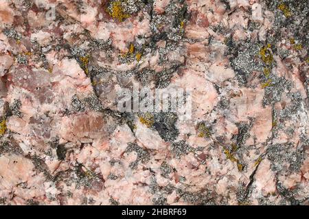 Roter Granit, der hauptsächlich aus rosa orthoclase Feldspat und farblosen Quarzen besteht, einem weit verbreiteten Baustein und Baumaterial Stockfoto