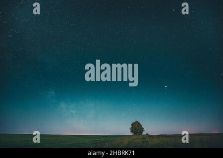 Blauer Sternenhimmel Über Einsamem Baum In Wiese. Leuchtende Sterne Und Wald In Sommer Landschaft. Stockfoto