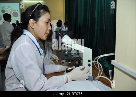 2010s Vietnam: USAID EPT Smithsonian Pathology Training to Detect Emerging Infectious Diseases Tierwelt und andere Tiere in Vietnam Workshop ca. 17. Oktober 2011 Stockfoto