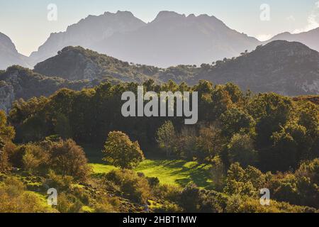 Herbst Waldlandschaft in Asturien. Picos Europa. Spanien, Europa Stockfoto