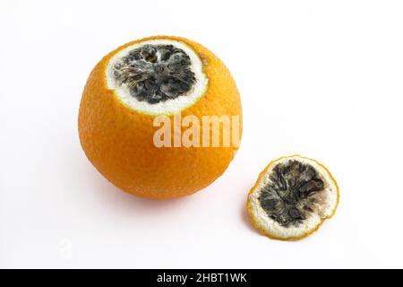 Orange verfault innen auf weißem Hintergrund. Eine verwöhnte Orange schälte. Eine verfaulte Orange, die außen ganz ist. Stockfoto